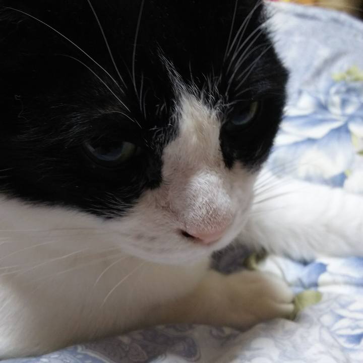 746829bc f7ee 497f 8de0 b52441a2357f 1554846289284