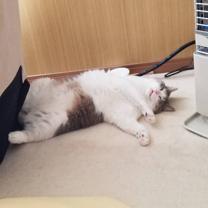 746842b9 8eeb 4629 8eca d6583bcdec7e 1608001623458