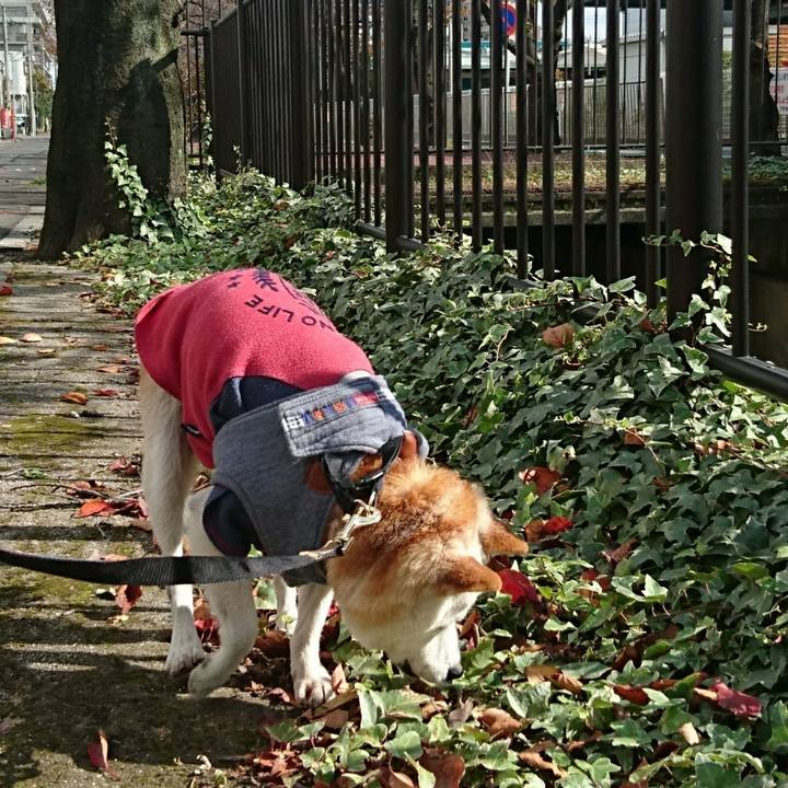 74688001 3dda 42db 8a6f 3246542c6850 1510372696329