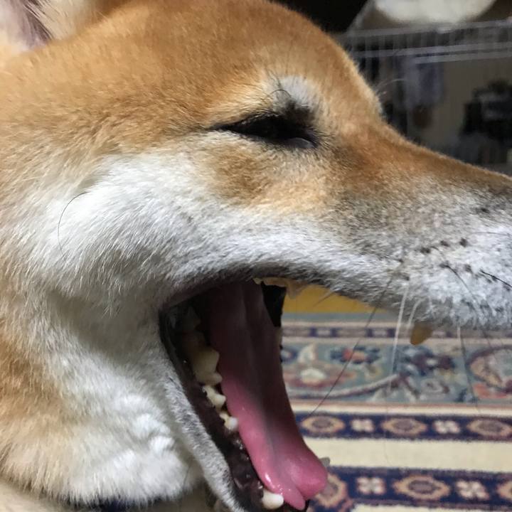 74688643 f01b 428e 8299 b5d656c01065 1571539639574