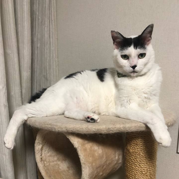 74689362 7b8e 4c4b 93df 3998d2680ede 1567035060555