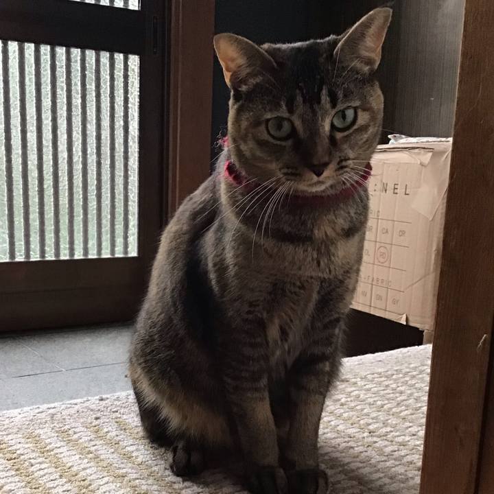 7468bdd0 33fa 4e22 994d 74340ff36e47 1603356334945