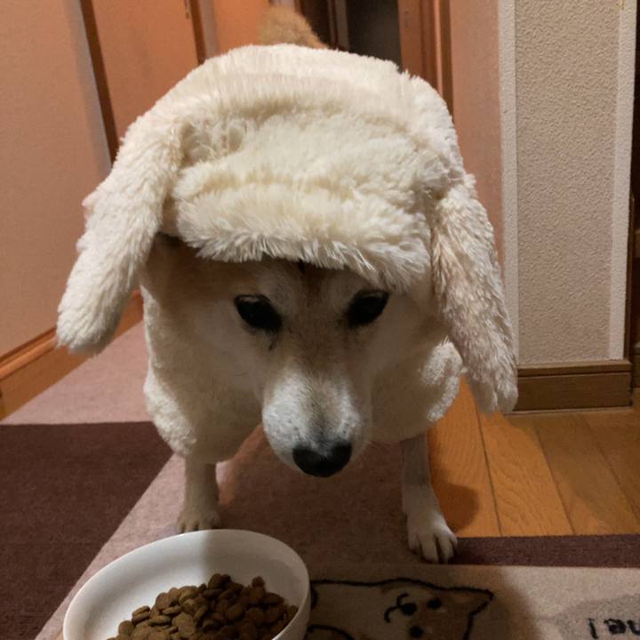 7468c88a d9a2 4364 a73e 36e31eecdab0 1639488447796