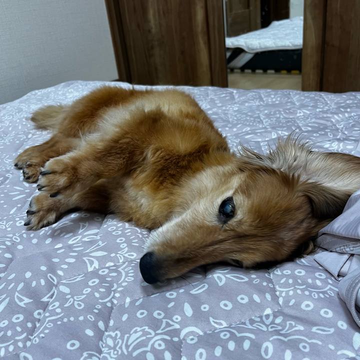 7468c8f3 6b41 41fb bbf3 686abeec1b23 1659447662555