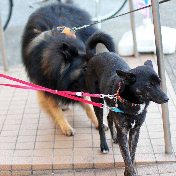 7468e904 6620 49c8 96f4 c9b1e04a5701 1510058112682