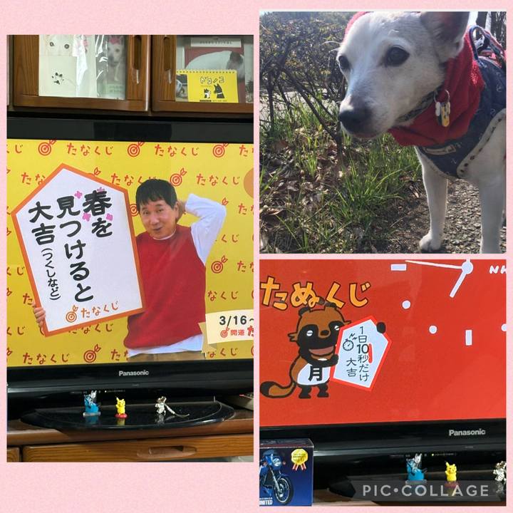 746900a0 974e 4ada 8aee 006c92ab1b5e 1773612291137