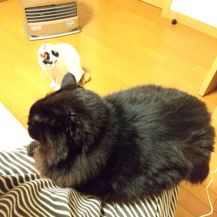 74692b92 034d 4325 b52c 45cbaf1367c4 1579617067154