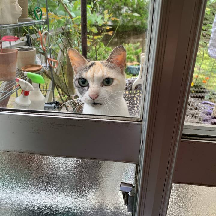 746931f6 ab96 4722 90ae 5e0c4162979e 1687599805807