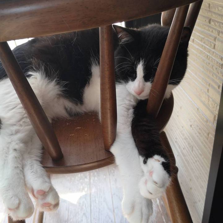 74694bf1 d6b2 440d a9f8 dceeb9a7a1aa 1624523544535