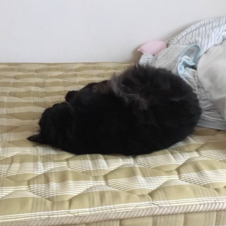 746953c9 a194 4175 8f4a a026a769548c 1534291632320