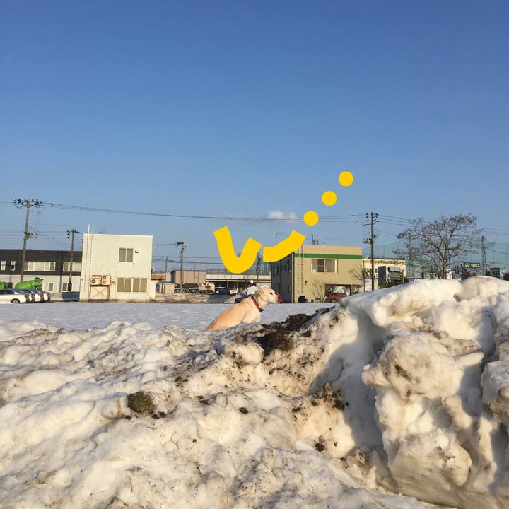 746977d9 af87 459d 9903 a9b60fc61079 1520150782487