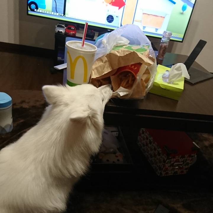 7469ccfe b145 4f55 aba9 93ebb42ce3f3 1533386612263