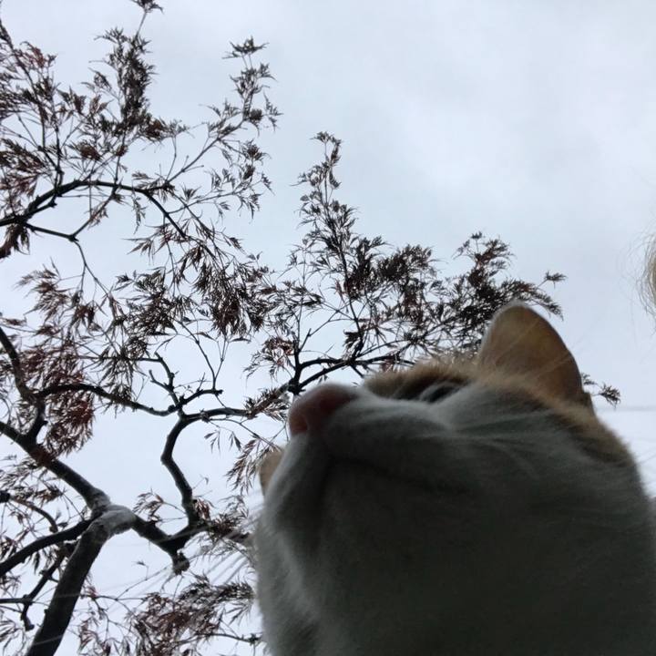 7469ffab 592a 4612 a016 e500c9d5bc34 1509261924861