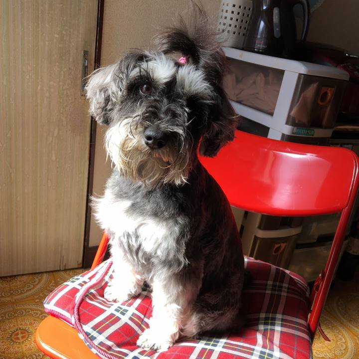 746a179d 4066 4950 a164 51460ad6337b 1521861450021