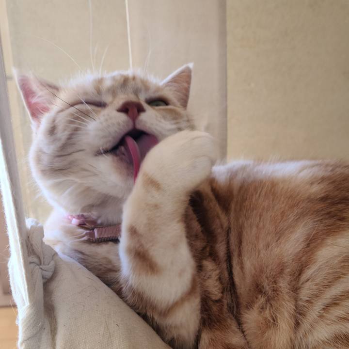 746a1f32 20eb 4c71 9c9a a12c45c6c8ad 1642568111777