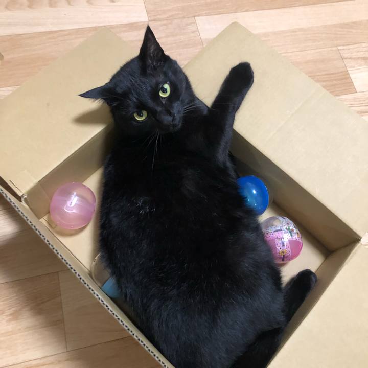 746a640c d51a 448d aeac 8c5bc8df9759 1563970348186