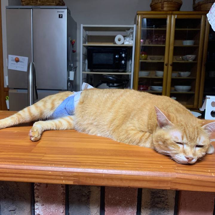 746a648c 2982 41de b276 0ad70884f5cb 1664224714866