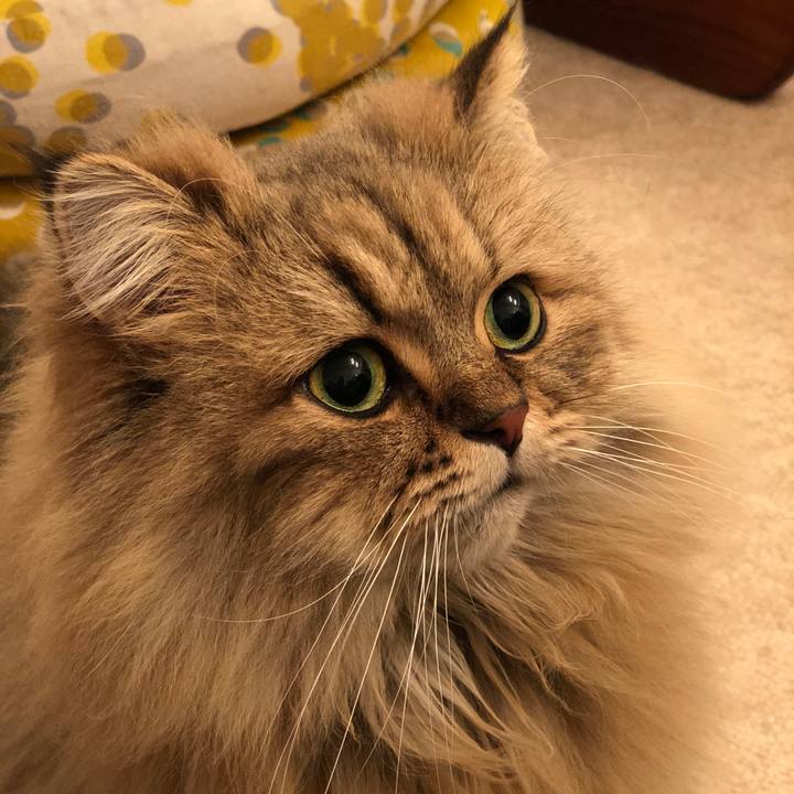 746a6d92 b882 4686 99b1 354d9bf89028 1541766715533