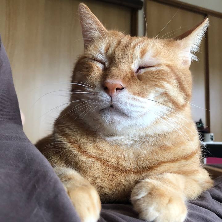 746abd21 1abf 4869 b647 c643ce5c24bb 1658093449141