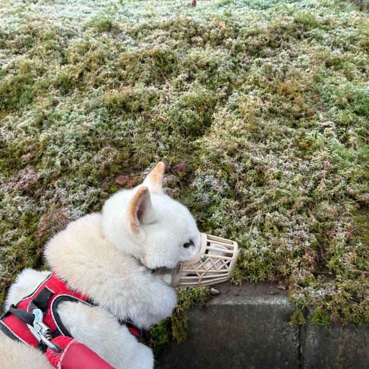 746af155 ec3d 4fd0 b1c3 11ca2bbcefe0 1762229021153