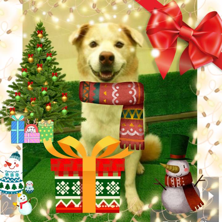 746b1ac3 d176 49d4 b177 6fc1051e3cb4 1640321975053