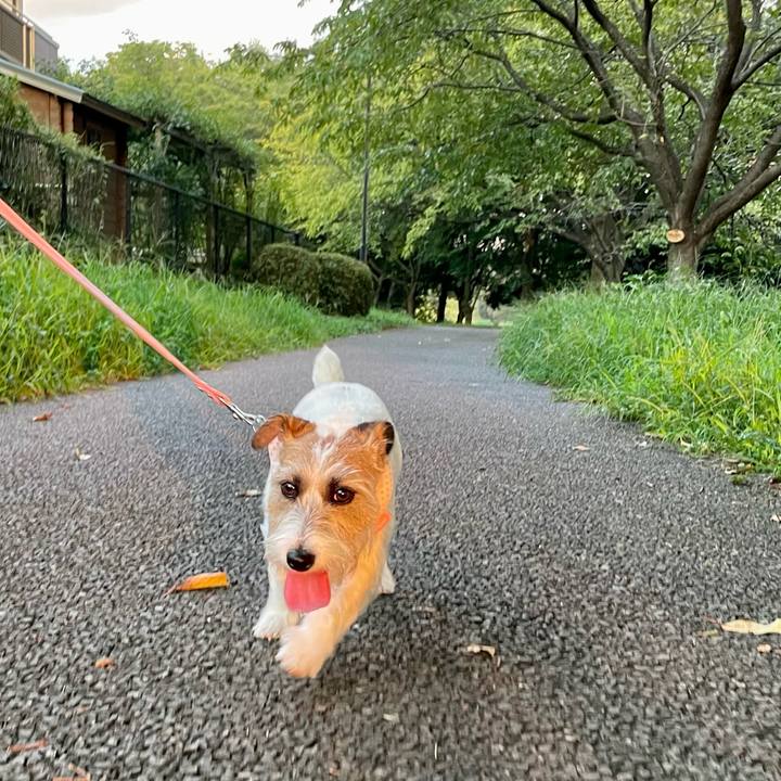 746b2bd0 5bb2 4895 907e b11dd2d5675a 1661594295276