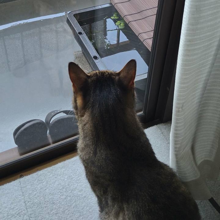 746b424f 5fb1 4cf8 aa89 9fdb2d74c9e2 1627783097257