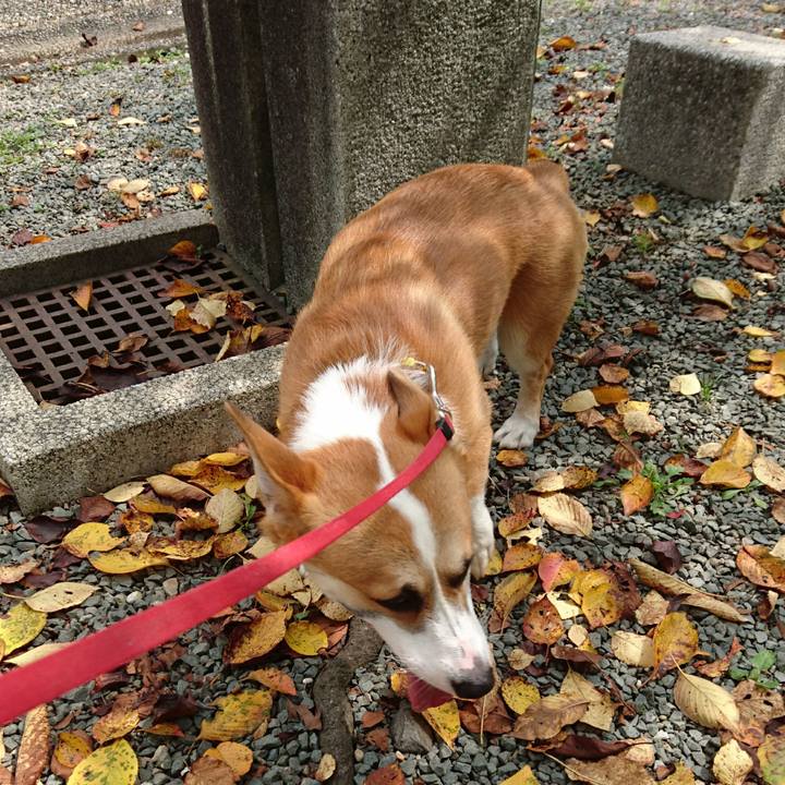 746b65e8 78a2 4ba8 8475 a0f098dc00fe 1567043886616