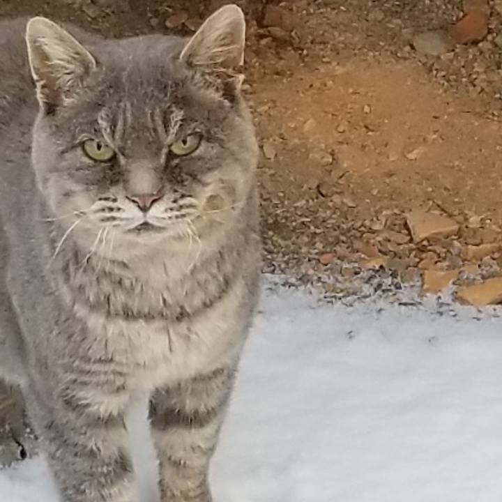 746b79e0 d9c7 4008 a1cf a8ca69fa4269 1544191357938