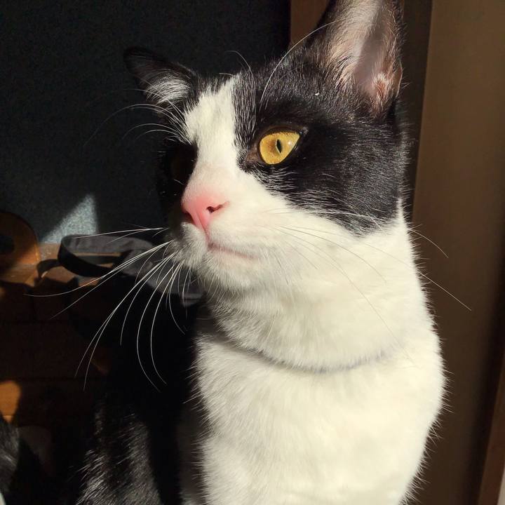 746b7c22 1354 46bb 9125 953a76c254e6 1644109213104