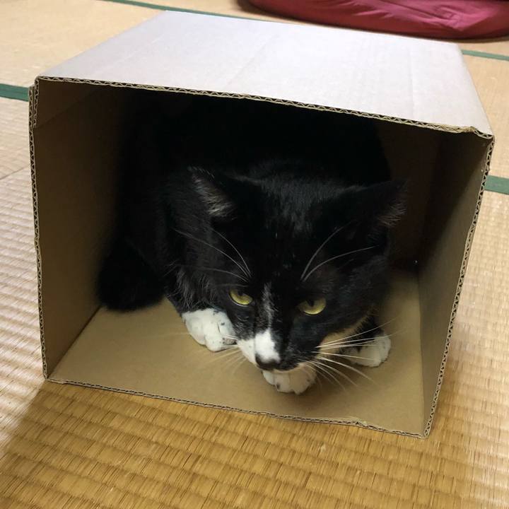 746b9df5 4a81 4cef a44e eada84880fdd 1539748333217