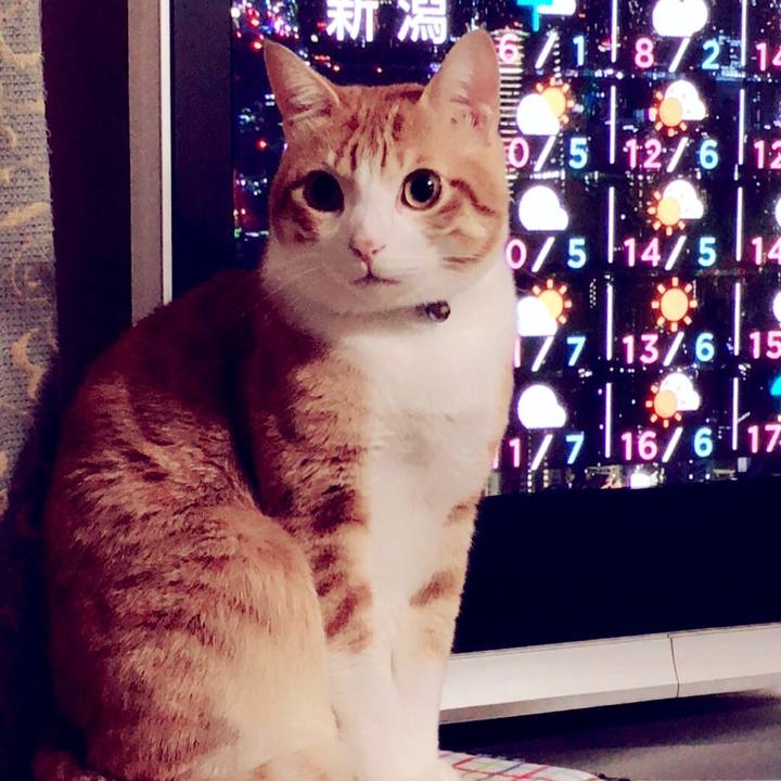 746ba7ac 1f62 48eb b4d4 9d8887789821 1511098350947