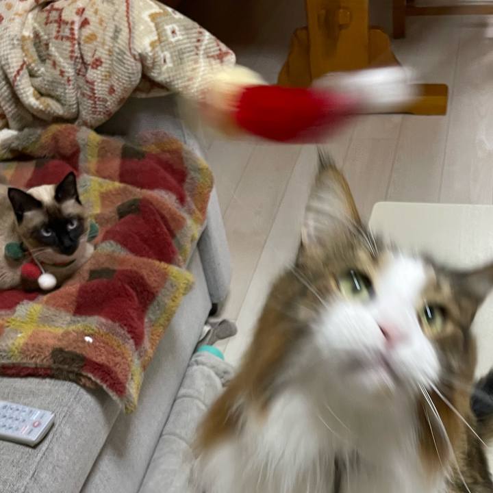 746bd10b c2d2 4d5a bbb6 87af3169733c 1731013210905