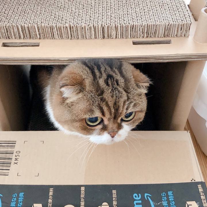 746c284d 4e92 4a77 ba9d 5808b27a75d4 1592950190652