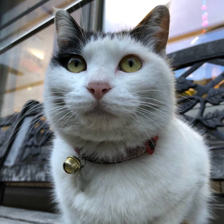 746c4f76 8e4b 40c1 8910 c0be5160bd84 1614590204669