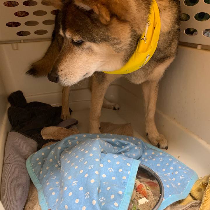 746c626b 509e 4f03 9b83 0bdbf438a9a0 1565215982802