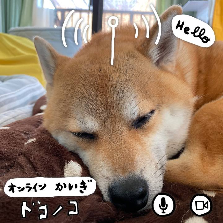 746cc81b 05fb 47c8 9650 75c17c21c47c 1590710189852