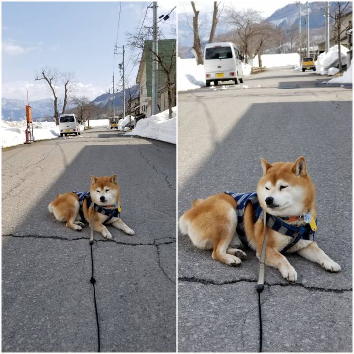 746d3387 43e8 4fac 9e63 dae16698f621 1551410532699