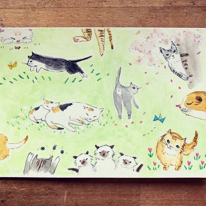 746d5c0a cc25 45d3 b4b9 0930d39b56aa 1650424349904