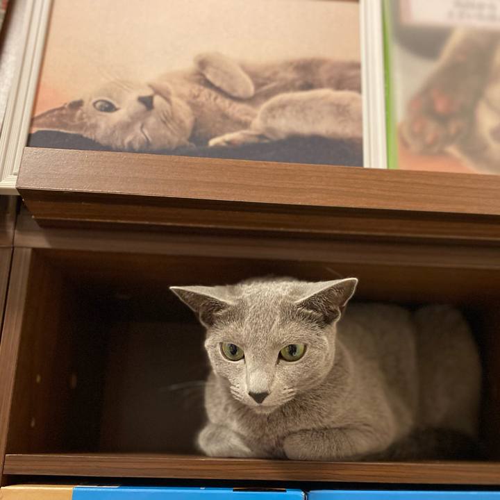 746d787f d6d0 4116 a20b a9c2e18afbd6 1652741378711