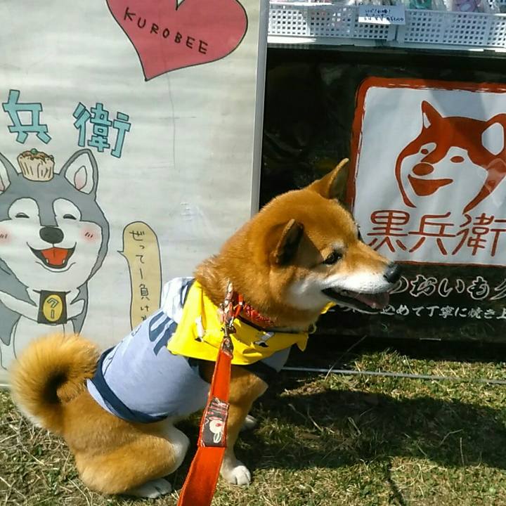 746d811c ce50 4669 a7dd 305ca4eaacc3 1554546192852