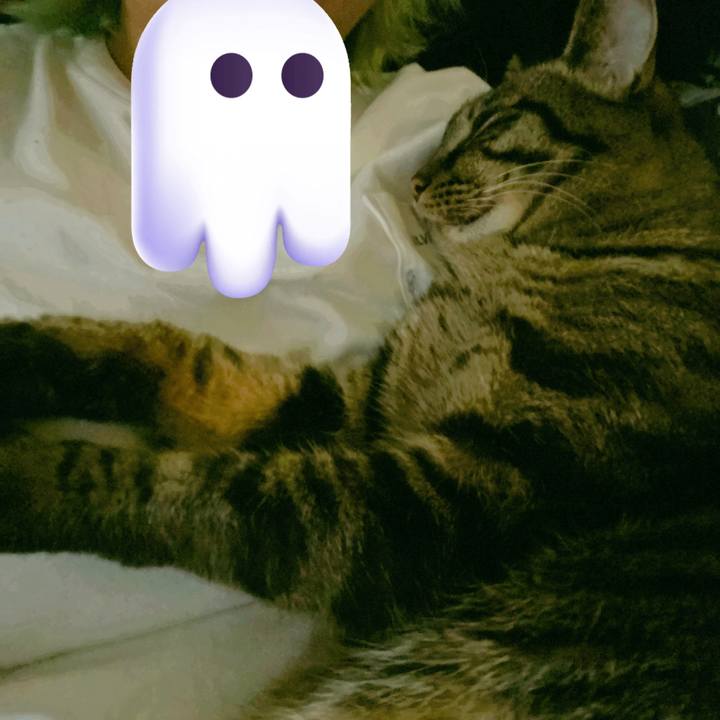 746d875b 1620 4e11 9df4 4e4f07966d33 1654724645436