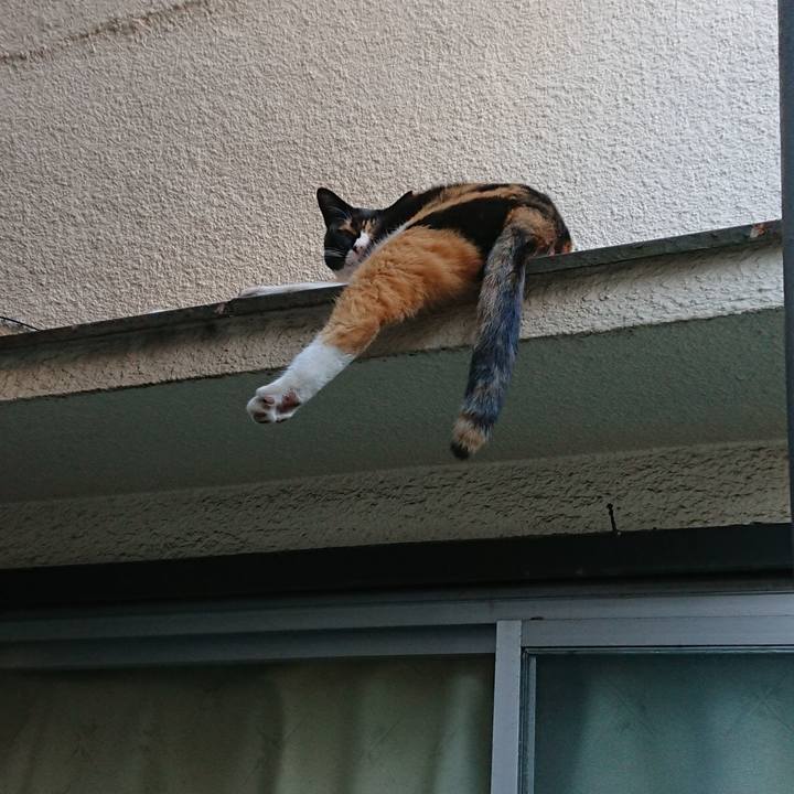 746de1ed 391f 4cec 9634 704a17e3b924 1538897105949