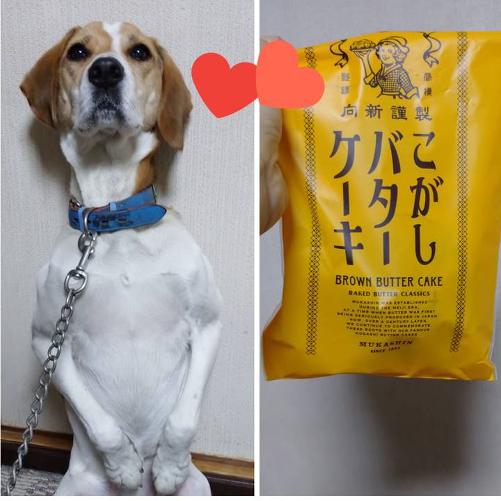 746deec0 3c72 467b b7d4 d2483defb994 1611386024880