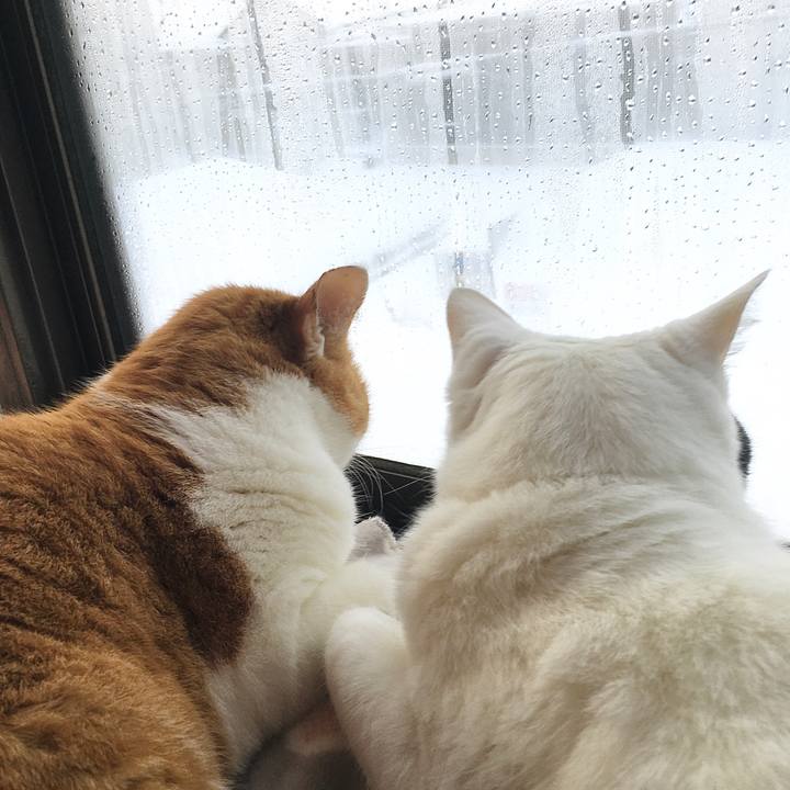 746e0716 13da 404d 8742 6b9d7a37b861 1610440269564