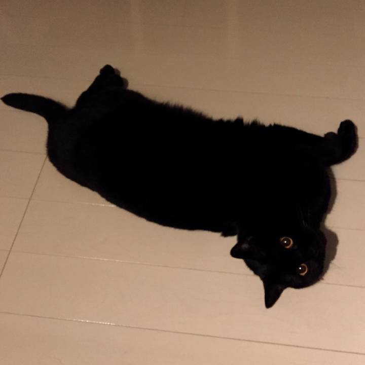 746e4da4 f383 4913 94e4 df1ee6db2ffd 1589632725959