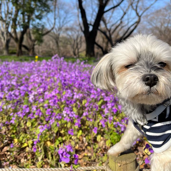 746e6b1d d104 4071 beb8 6e0022414460 1774083332050