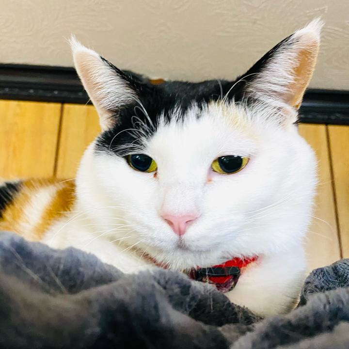 746e9c9b d1c0 45ae 8314 406a92221184 1710685658531