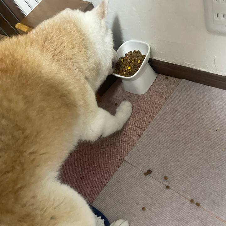 746ecc40 5bb2 470b 9503 527c3d68283a 1759396438281