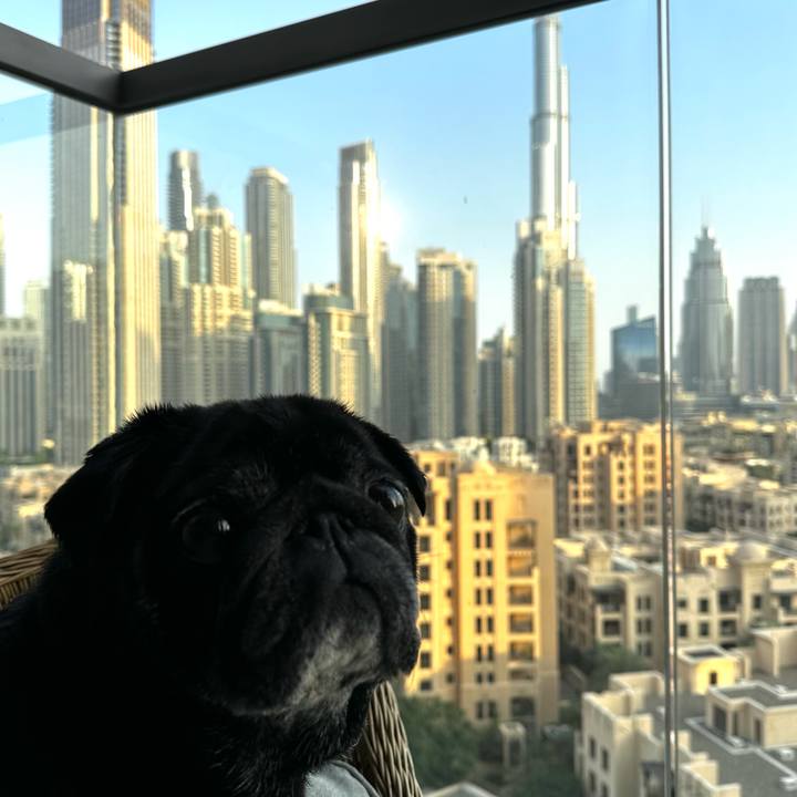 746ecc56 7a28 4147 abcb 96111941c2a5 1772437446624